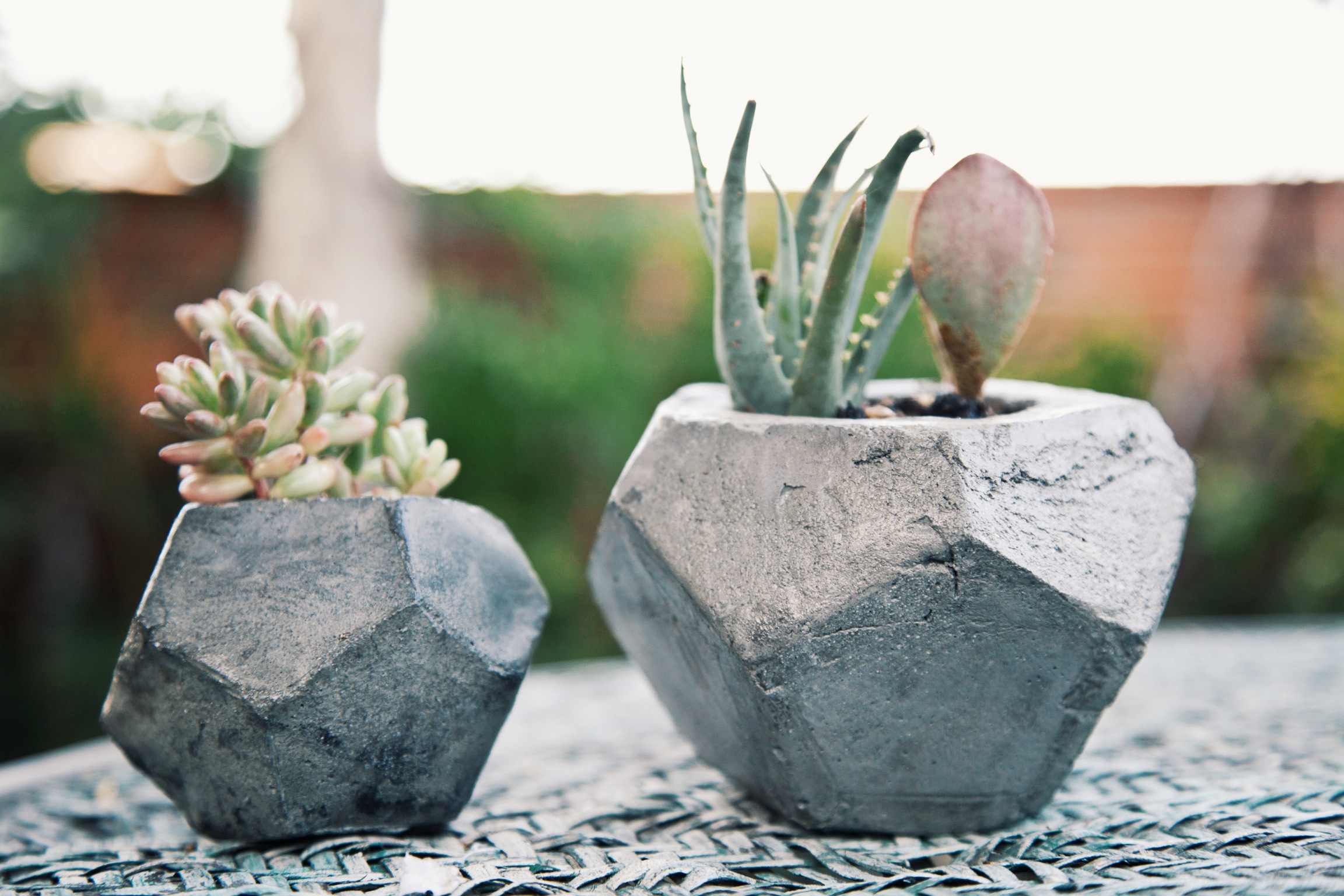 Concrete Geometric Succulent Planters via Needles + Leaves :: Giveaway